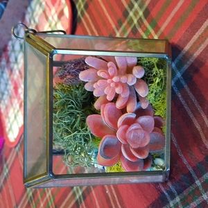 Air Plant Succulent Hanging Decor